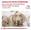 VETERINÄR HUNDE HYPOALLERGEN MIT MODERNES KALORIENGEHALT - Produktbild-Vorschau 7
