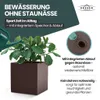 XL Pflanzkasten „Millennium“ 39x39x39 cm - 40L Volumen - Produktbild-Vorschau 6
