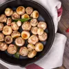 Hawlik Pilzbrut Champignon Mix Probierset klein – Pilze Produktbild-Vorschau 10