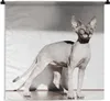 MuchoWow® Wandteppich Wandbehang Sportliche Sphynx-Katze Produktbild-Vorschau 1