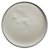 Reuzel - Clay Matte Pomade - Clay hair pomade 340.0g Voir les images du produit 4