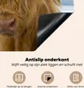 KitchenYeah© Herdabdeckplatte Schottische Highlander - Produktbild-Vorschau 4