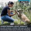 PÄTSO Hunde Snack 3er Pack Trainingssnack, 500g - Huhn + Produktbild-Vorschau 5