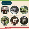 Lucky Reptile - Tortoise Bedding - 20 Liter Produktbild-Vorschau 10