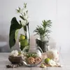 Vase en verre 26cm FLORA rond Voir les images du produit 16