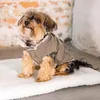 Designed by Lotte Hundemantel Philos, Farbe:grün, Größe:XS Produktbild-Vorschau 5