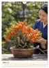 Spirit of Bonsai – Japanische Meisterwerke 2027 Produktbild-Vorschau 6