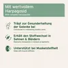 AniForte Afrikanische Teufelskralle Pulver für Hunde & Produktbild-Vorschau 3