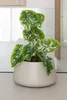 Pot de fleurs VIVANNO en fibre de verre GORDO, rond, beige Voir les images du produit 3