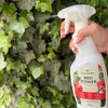 Kalinova | Tomatendünger Spray - 750 Ml - Calcium - Zink - Produktbild-Vorschau 12