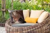 MuchoWow® Outdoor Kissen - Pferde - Natur - Makro - 50x50 Produktbild-Vorschau 3