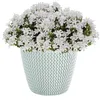Prosperplast Pflanztopf Kunststoff - perlweis - D26 x 23 cm Produktbild-Vorschau 2