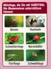 SUBSTRAL® Die Blumenwiese 800 g für 80 m² Produktbild-Vorschau 5