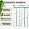 Wandkalender 2027 A1 Eukalyptus Botanical Design – Großer Produktbild-Vorschau 3