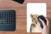 MuchoWow® Mauspad Mousepad Löwe - Tiere - Natur - Weiß Produktbild-Vorschau 4