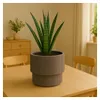 Prosperplast s.r.o. Vaso da fiori MILLY marsala 39,5 cm Anteprima dell’immagine prodotto 2