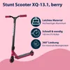 Stuntscooter XQ-13.1 (dunkelrot/schwarz) Náhľad obrázku produktu 6
