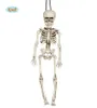 Squelette Halloween Décoration d'horreur environ 40 cm Voir les images du produit 1