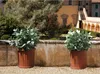 BAMA Blumentopf ROMA, 35L, Terrakotta Produktbild-Vorschau 3