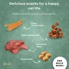 BOXILAND® mačací adventný kalendár 2026, 24 snackov, Náhľad obrázku produktu 5