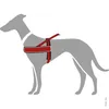 Hunter 46389, Hund, Zuggeschirr, L-XL, Schwarz, Rot, Nylon, Produktbild-Vorschau 6