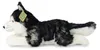 Plyšový Husky 36 cm Ekologický Náhled obrázku produktu 5