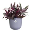 elho jazz rund 19cm lavendel lila Produktbild-Vorschau 2