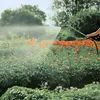 Profi-System Spritz-Gießstab (92cm) Produktbild-Vorschau 4
