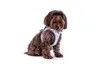 Curli Clasp Vest Geschirr Glow Reflective Gray, Größe: M Produktbild-Vorschau 9