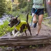 Ruffwear Trail Runner Leine Blue Pool Produktbild-Vorschau 7