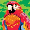 Colorizzy Malen nach Zahlen - Papagei Produktbild-Vorschau 4