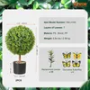 SucceBuy Arbres artificiels en forme de buis 24 pouces de Voir les images du produit 7