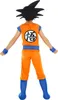 A child wearing a Son Goku costume from Dragon Ball Z, shown from the back. Podgląd zdjęcia produktu