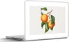 MuchoWow® Laptop Aufkleber Sticker Cover Obst - Produktbild-Vorschau 1