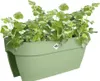 elho vibia campana Blumenbrücke 60cm – Balkon Blumenkasten Produktbild-Vorschau 3