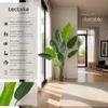Arbre oiseau du paradis TROPIC - 160 cm Voir les images du produit 2