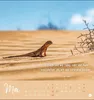 Never give up! Postkartenkalender 2027 - Durchhalten. Denn Produktbild-Vorschau 12