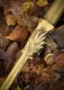 LARP Goldener Melonen-Hammer, Polsterwaffe, 45 cm „Huoyan“ Produktbild-Vorschau 7