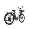 FAFREES F26 Lasting E-Bike - Motor 250W Baterie 36V25Ah Náhled obrázku produktu 5