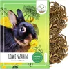 Löwenzahn Samen für Kaninchen - Wildkräuter Saatgut als Produktbild-Vorschau 1