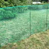Kunststoffzaun 14 x 14 mm 0.6m / 10m / Schwarz Produktbild-Vorschau 2
