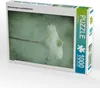 Calvendo Wild lockendes Lockenblümchen 1000 Teile Puzzle Produktbild-Vorschau 1