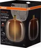 OSRAM Vintage 1906 Big Oval je stmívatelné dekorativní Náhled obrázku produktu 2