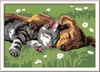Ravensburger 28015 Ravensburger Malen-nach-Zahlen Tiefer Voir les images du produit 1