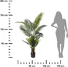 Umělá Rostlina Palma 160Cm 318001020 Náhled obrázku produktu 3