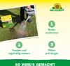 Neudorff TerraVital RasenSanierer 4,5 kg für 150 m² Produktbild-Vorschau 5