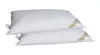 2 Stück Betten Hofmann Classic Kissen Kopfkissen 40x80 Produktbild-Vorschau 2