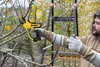 DeWALT Akku-Astschere DCMPP568N-XJ, Gartenschere, Astsäge, Produktbild-Vorschau 17