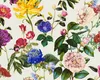 Jette Joop Blumentapete florale Tapete Vliestapete bunt Náhled obrázku produktu 10