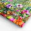 Bild auf Leinwand - Leinwandbild - Einteilig - blume sommer Produktbild-Vorschau 5